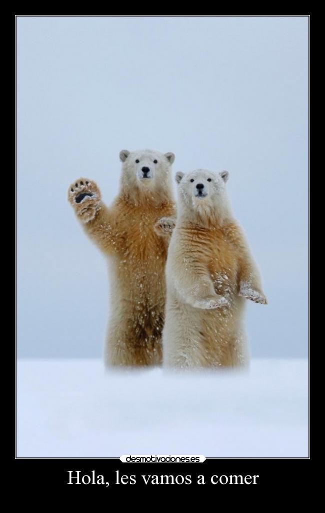 Hola, les vamos a comer - 
