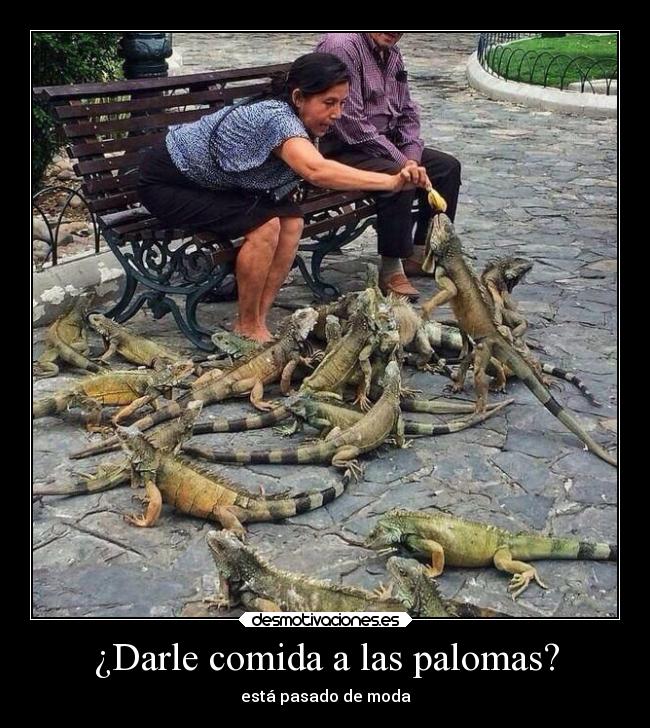 carteles comida sociedad imposible graciosas comida animales desmotivaciones