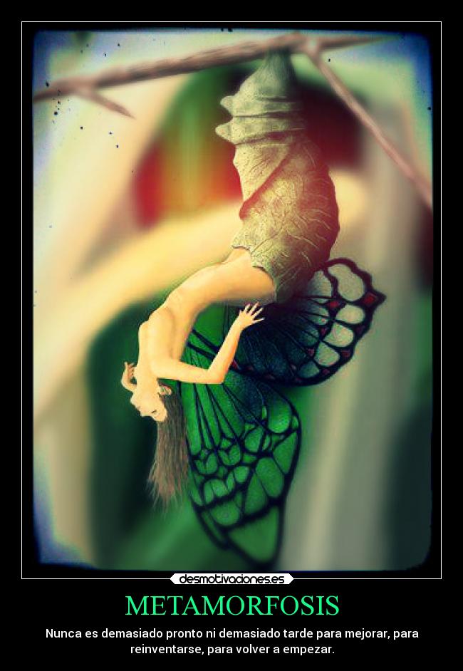 METAMORFOSIS - Nunca es demasiado pronto ni demasiado tarde para mejorar, para
reinventarse, para volver a empezar.