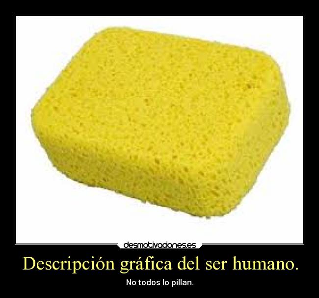 Descripción gráfica del ser humano. - No todos lo pillan.