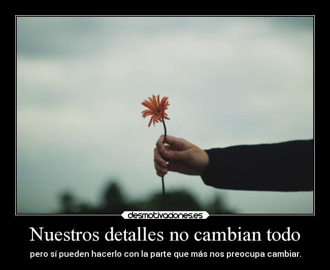 Nuestros detalles no cambian todo -