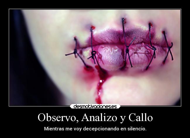 Observo, Analizo y Callo -