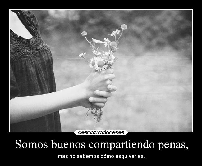 Somos buenos compartiendo penas, -
