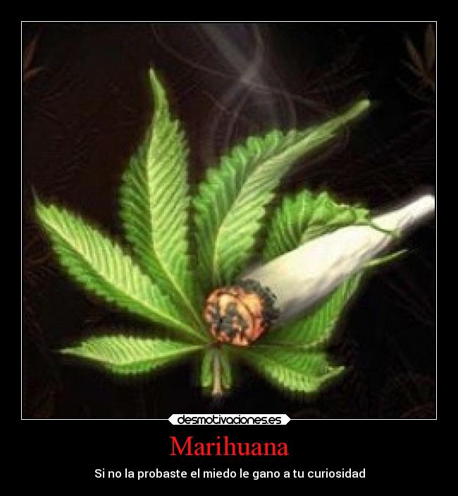 carteles debilidad desmotivaciones