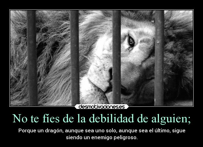 No te fíes de la debilidad de alguien; -
