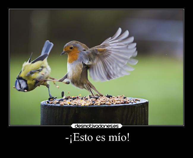 -¡Esto es mío! -