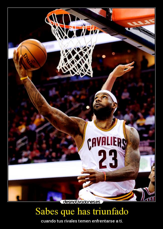 Sabes que has triunfado -