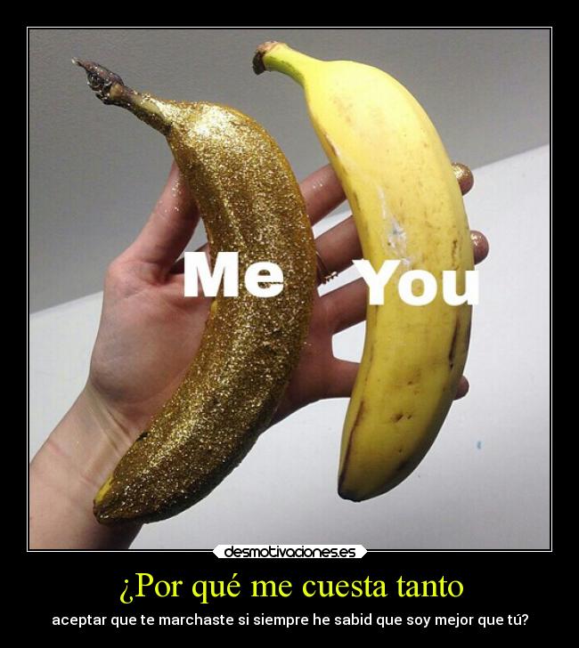 carteles desamor helena69 chorrada menudafotoxd desmotivaciones