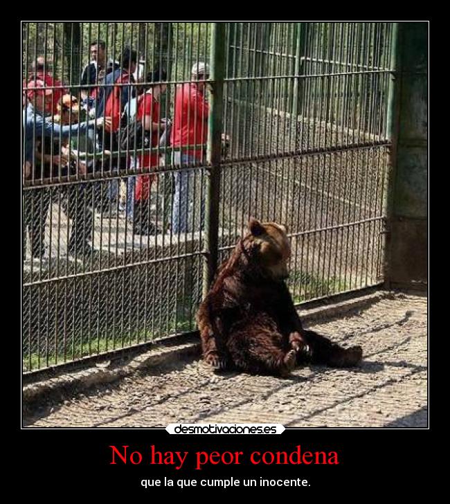 carteles desmotivaciones animales pensamientosde karaoke zoologico desmotivaciones