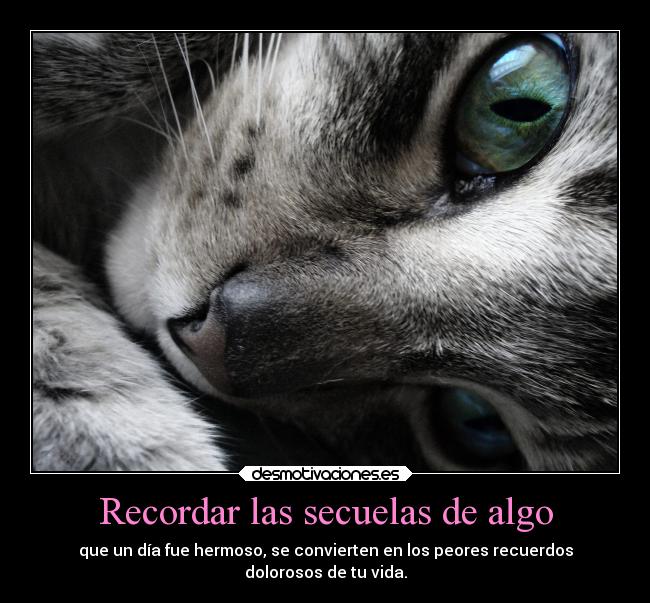 Recordar las secuelas de algo - 