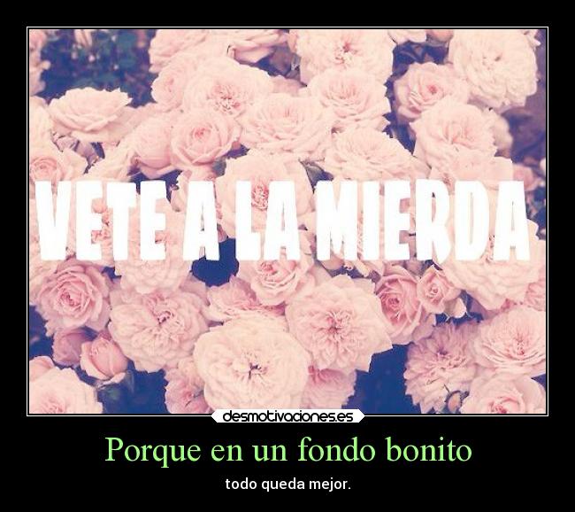 Porque en un fondo bonito - 