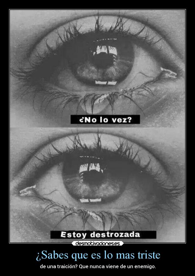 ¿Sabes que es lo mas triste - de una traición? Que nunca viene de un enemigo.