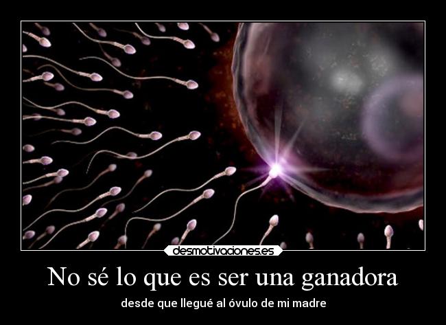 No sé lo que es ser una ganadora -