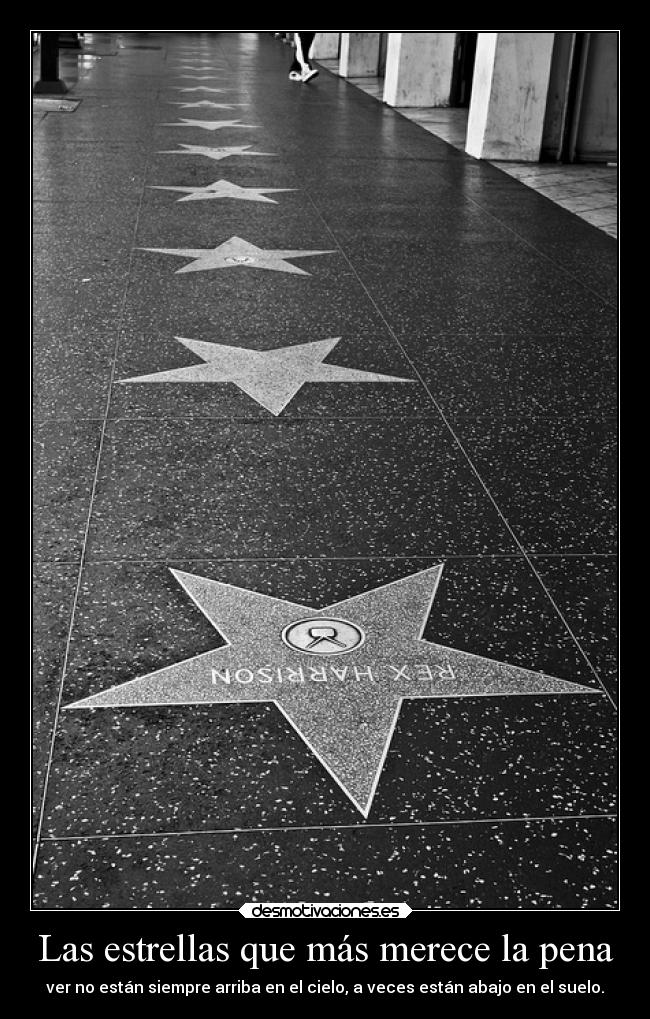 Las estrellas que más merece la pena - ver no están siempre arriba en el cielo, a veces están abajo en el suelo.
