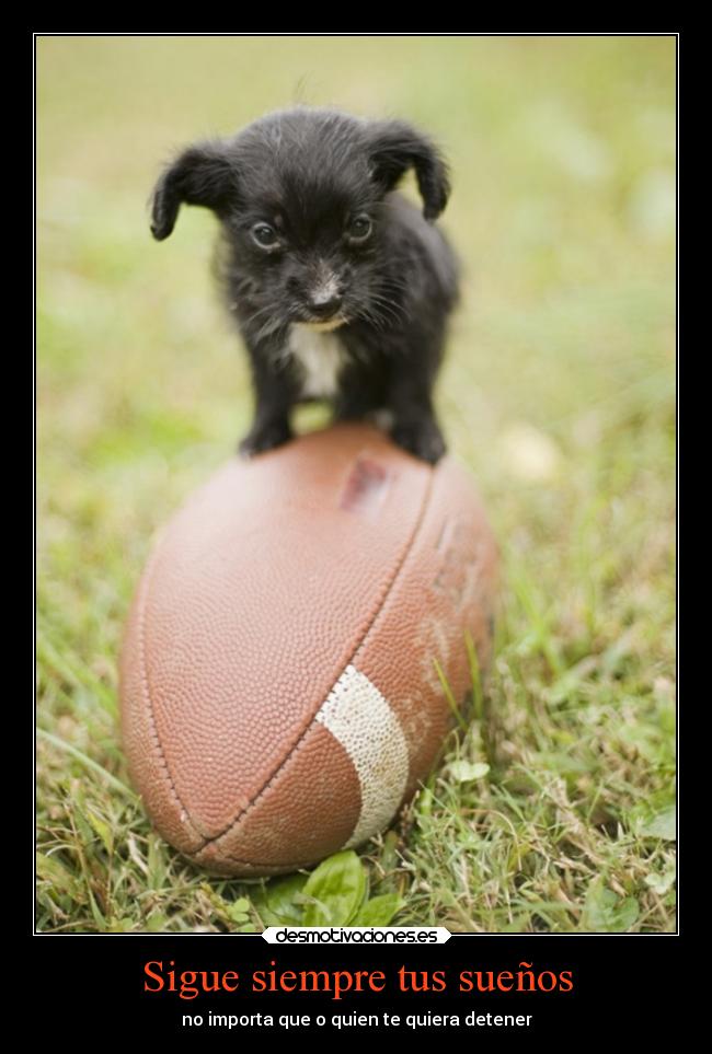 Sigue siempre tus sueños -