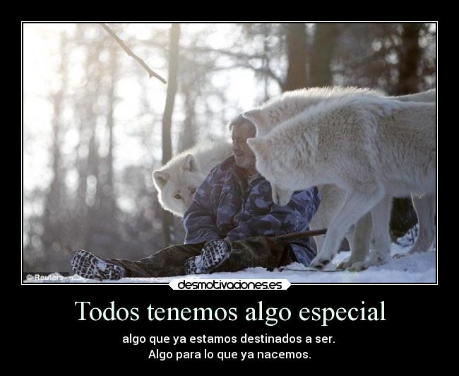 carteles destino caracter lobos vongolaring guiltycrown23 especial personas shingekinokyojin23 desmotivaciones