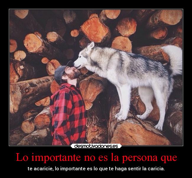 Lo importante no es la persona que -