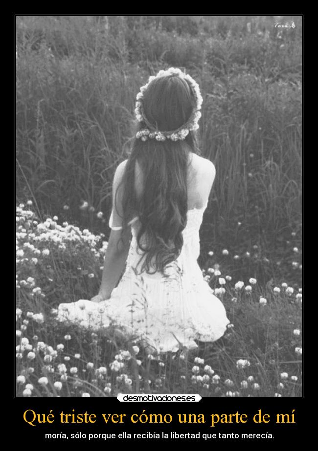 carteles dolor c27te clanfhag zarcortgame desmotivaciones