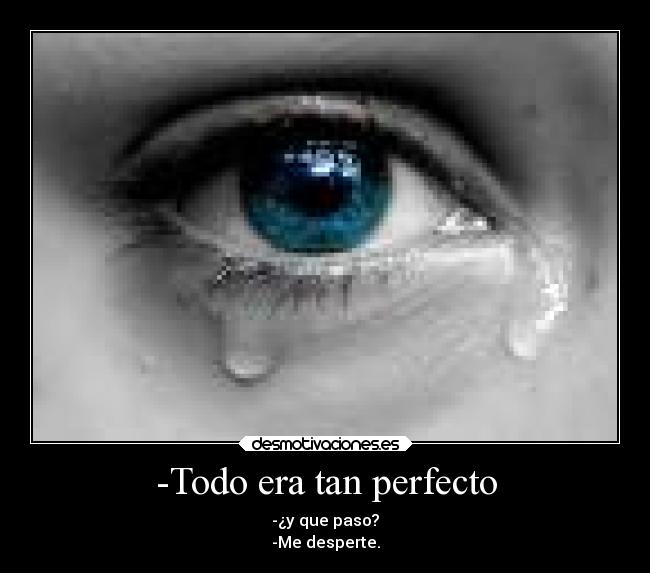-Todo era tan perfecto -