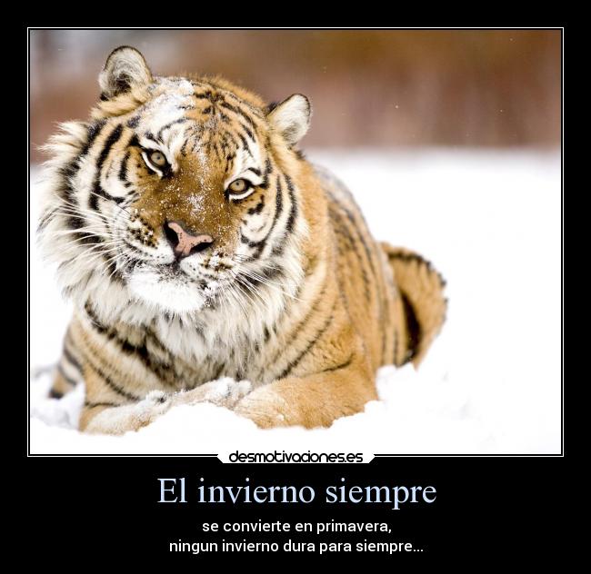 El invierno siempre - 