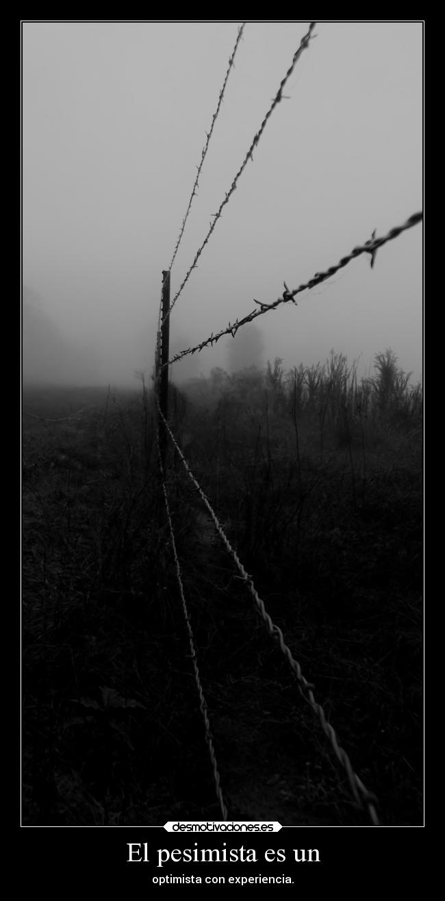 El pesimista es un - optimista con experiencia.