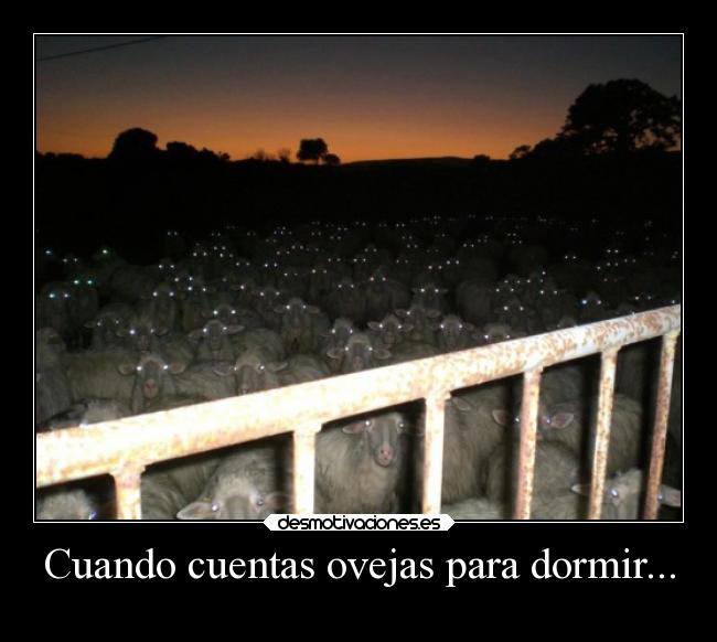Cuando cuentas ovejas para dormir... - 