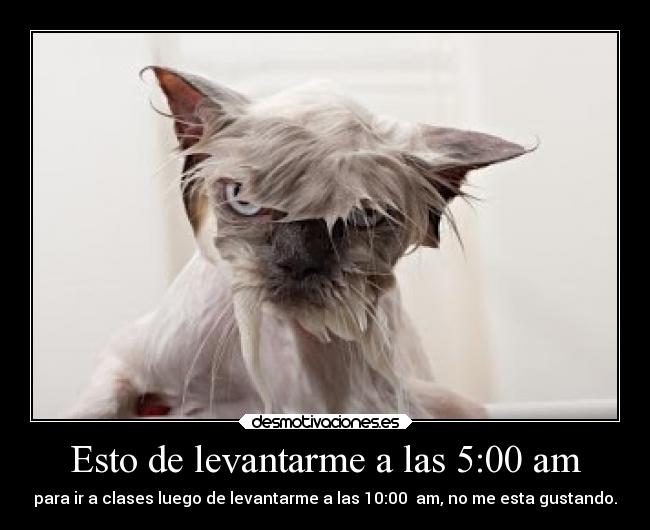 Esto de levantarme a las 5:00 am -