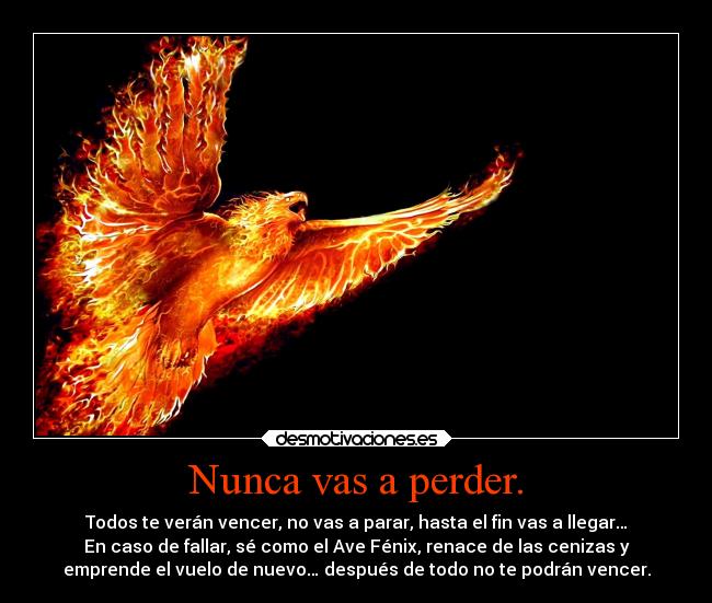 Nunca vas a perder. -