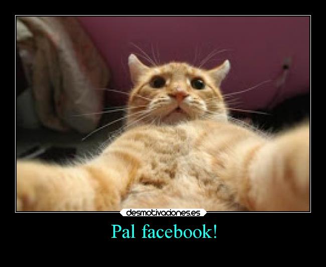 Pal facebook! - 