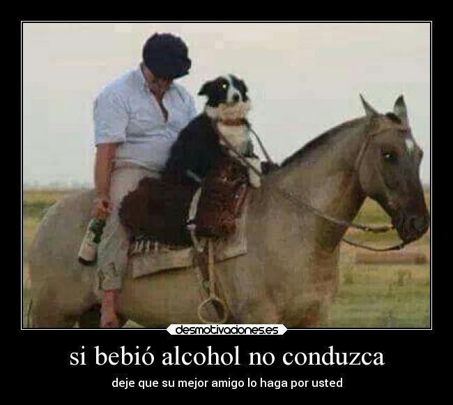 si bebió alcohol no conduzca -