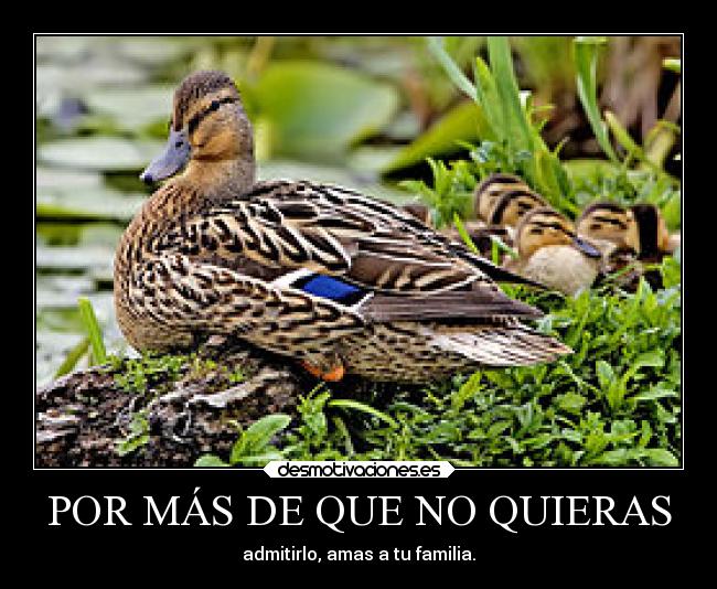 POR MÁS DE QUE NO QUIERAS - 