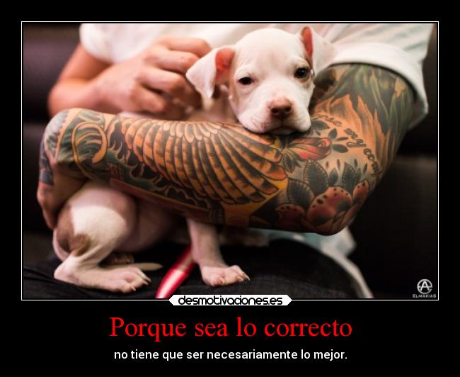 Porque sea lo correcto -