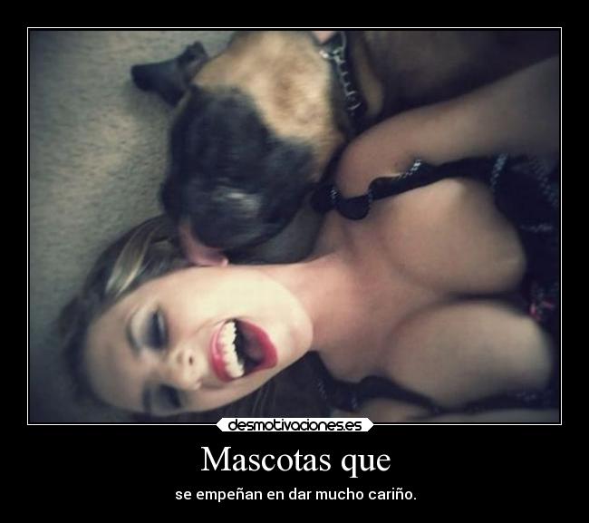 Mascotas que - 