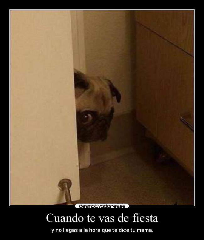 Cuando te vas de fiesta - y no llegas a la hora que te dice tu mama.