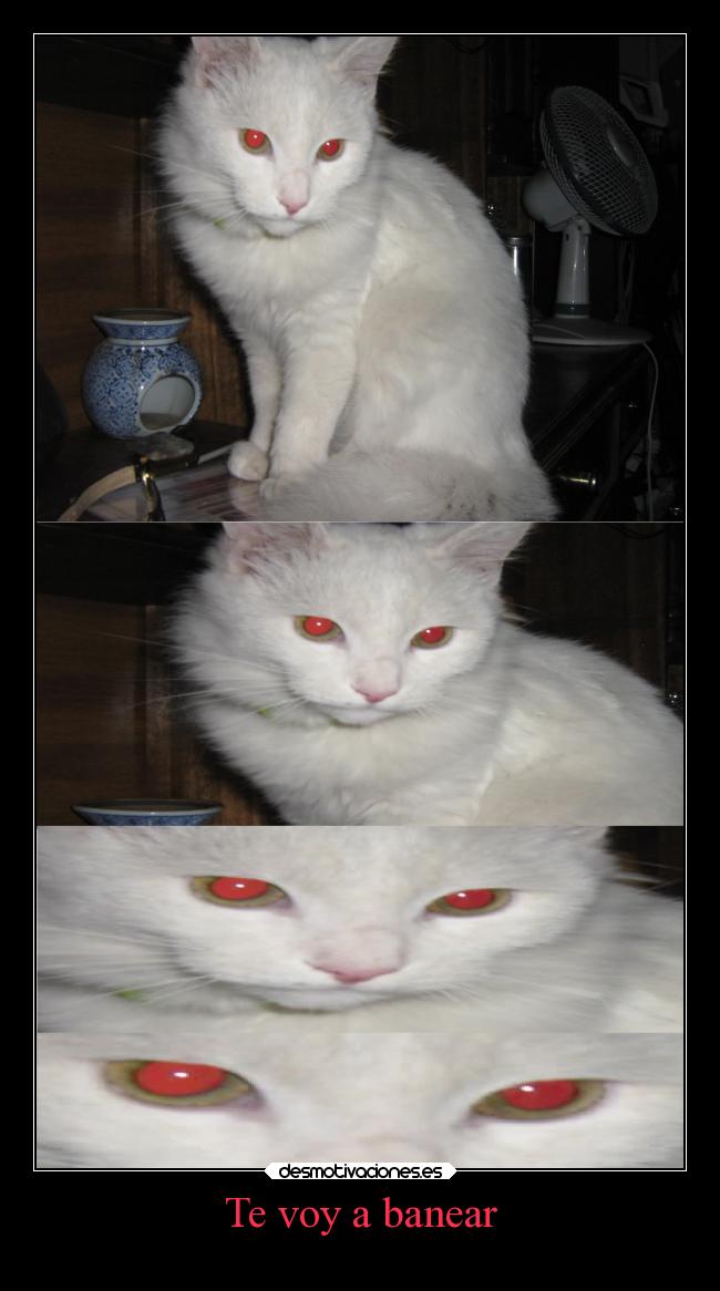 Te voy a banear -