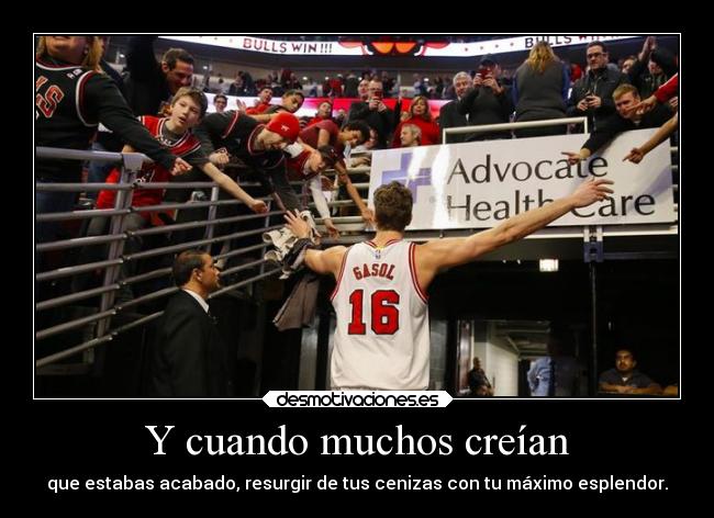 carteles frases baloncestonba chicagobulls paugasol16 desmotivaciones