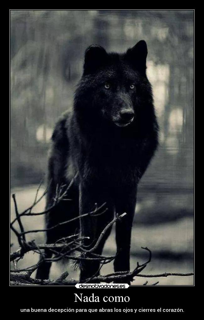 carteles frases corazon animales desmotivaciones