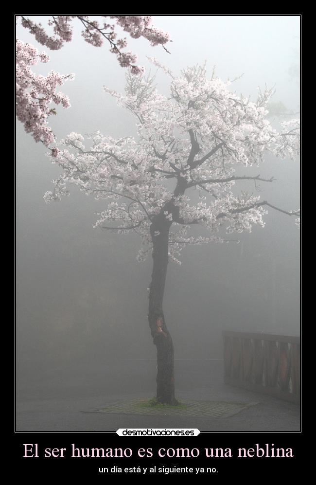 carteles frases demotivaciones desmotivaciones