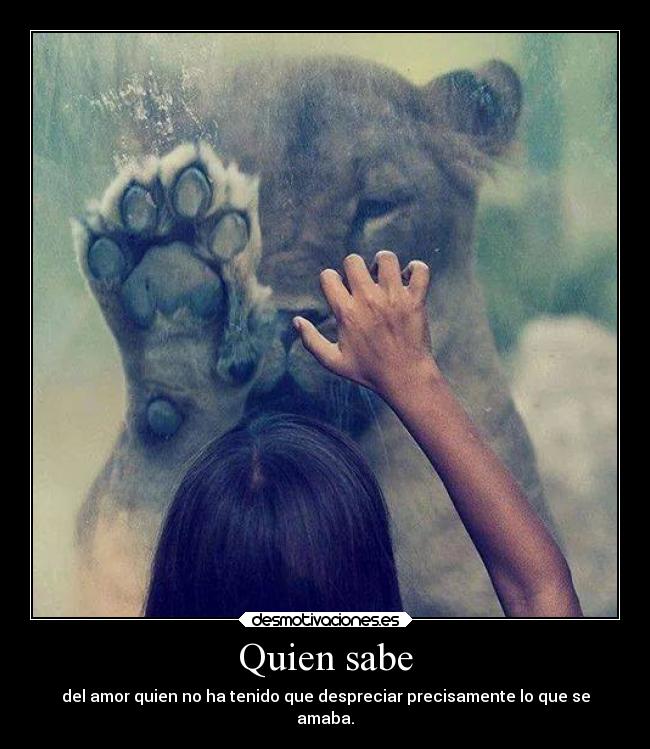 Quien sabe - del amor quien no ha tenido que despreciar precisamente lo que se
amaba.