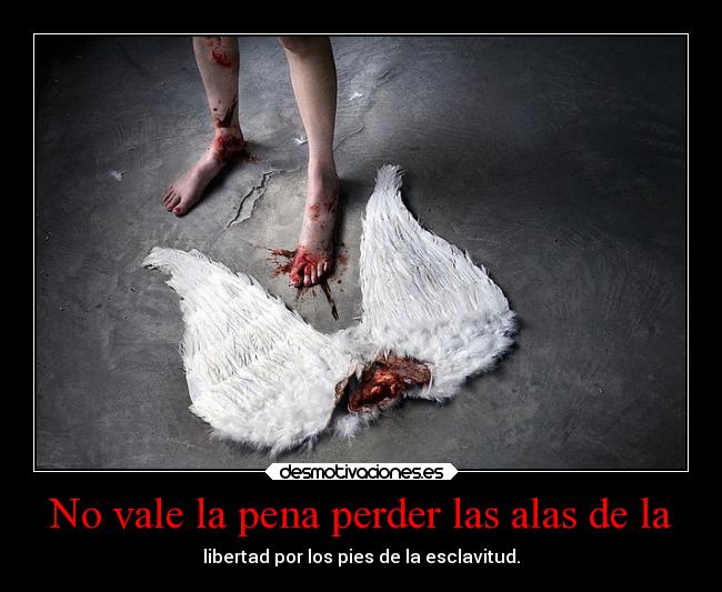 No vale la pena perder las alas de la - 