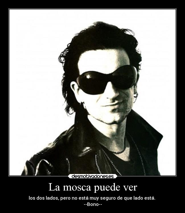 La mosca puede ver - los dos lados, pero no está muy seguro de que lado está.
--Bono--