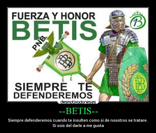 vrai magasin de betis