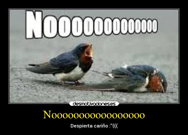 Nooooooooooooooooo - Despierta cariño :(((