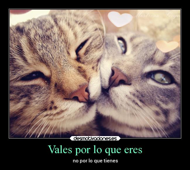 Vales por lo que eres -