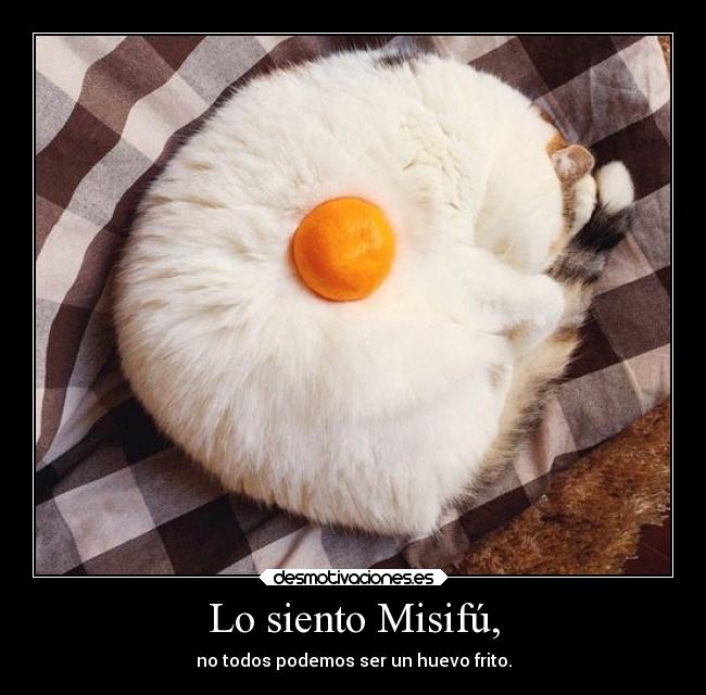 Lo siento Misifú, -
