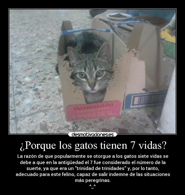 ¿Porque los gatos tienen 7 vidas? - La razón de que popularmente se otorgue a los gatos siete vidas se
debe a que en la antigüedad el 7 fue considerado el número de la
suerte, ya que era un trinidad de trinidades y, por lo tanto,
adecuado para este felino, capaz de salir indemne de las situaciones
más peregrinas.
^_^