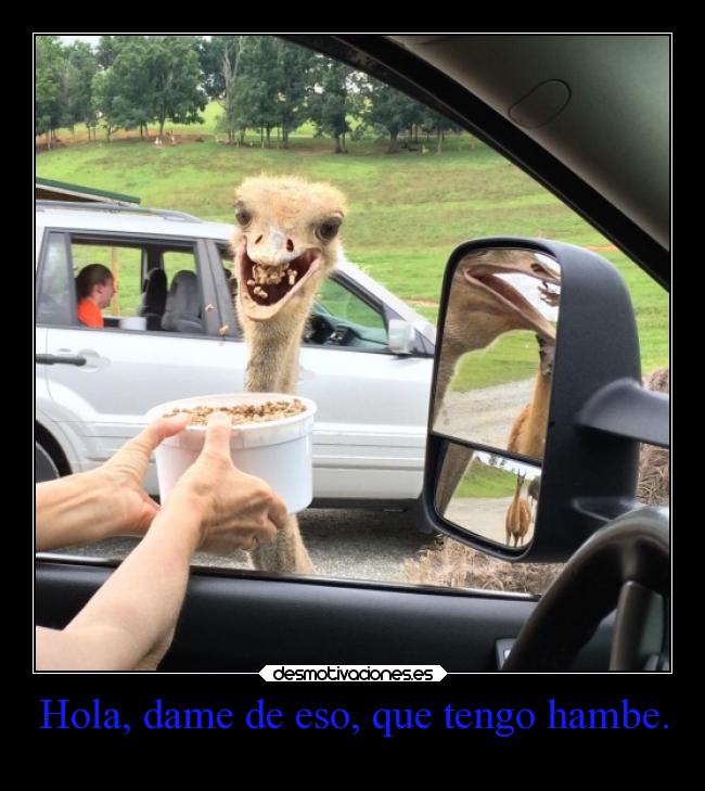 Hola, dame de eso, que tengo hambe. -