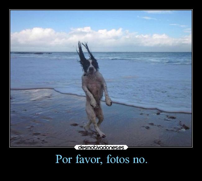 Por favor, fotos no. - 