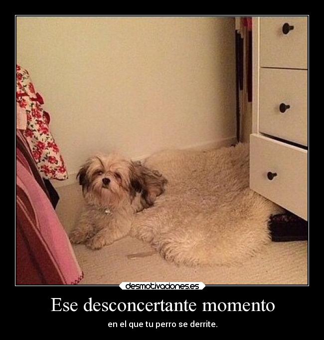 Ese desconcertante momento - 