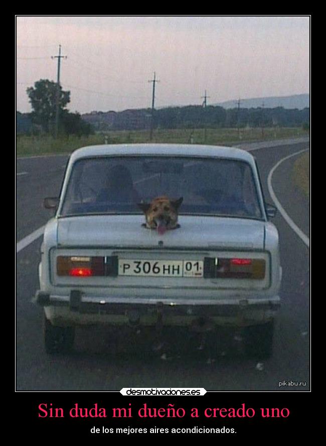 carteles humor animales xappaasiempremedejas desmotivaciones